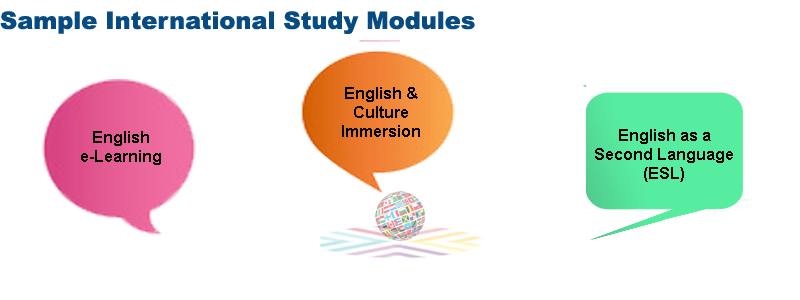 International students' modules